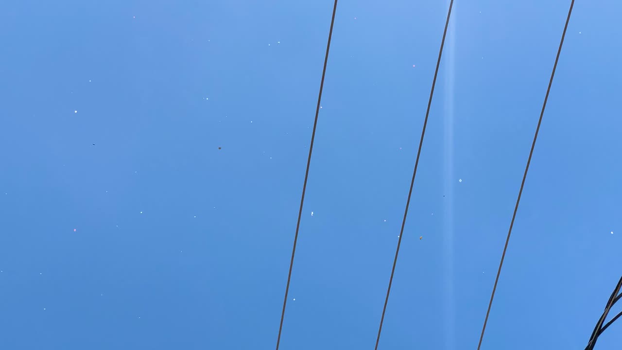 비닐봉지의 날아다니는 쓰레기는 예멘 사나의 새처럼 보입니다.