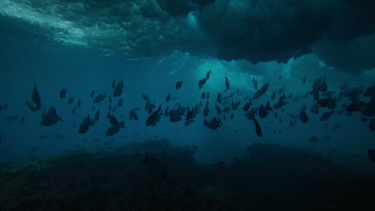 Underwater angle of ocean wave crashing spreading storm of foam casting shadow on school of fish above reef