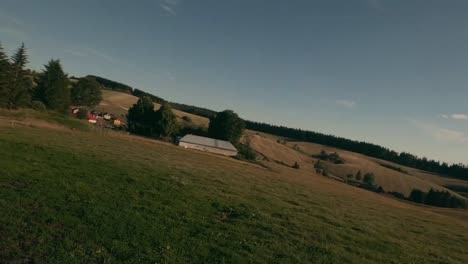 Flying-slow-with-a-racing-drone-in-between-calm-Hucul-horses-resting-and-grazing-in-a-horse-enclosure-in-the-village-of-Sihla,-Central-Slovakia