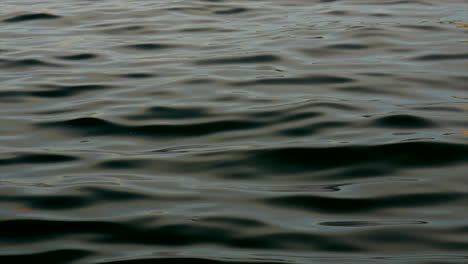 dark mysterious rippling water. wide shot