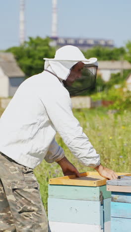 apiary in the countryside. beekeeper specialist in protective hat working near wooden beehives in summer. beekeeping process. vertical video