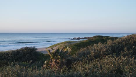 A wide shot showcases a sunlit shore, with the ocean stretching across the background and trees framing the foreground.