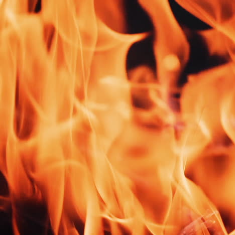 bonfire. burning logs in orange flames. beautiful fire burns brightly. embers of the fire climb up. slow motion