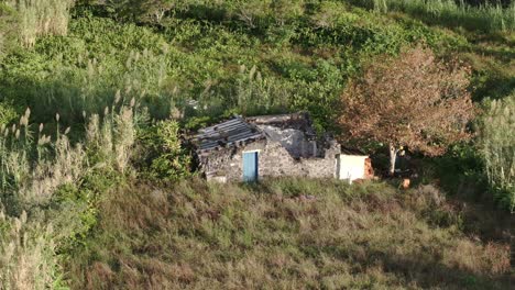 Vista-Aérea-De-La-Antigua-Casa-Rota-En-La-Isla-De-Flores,-Azores---Disparo-De-Drones