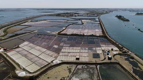 aerial drone view of salt fields in aveiro, portugal