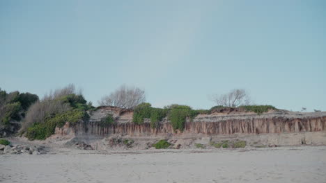 acantilado con vegetación y capas de roca expuestas sobre playa de arena bajo un cielo azul claro en ovar, portugal