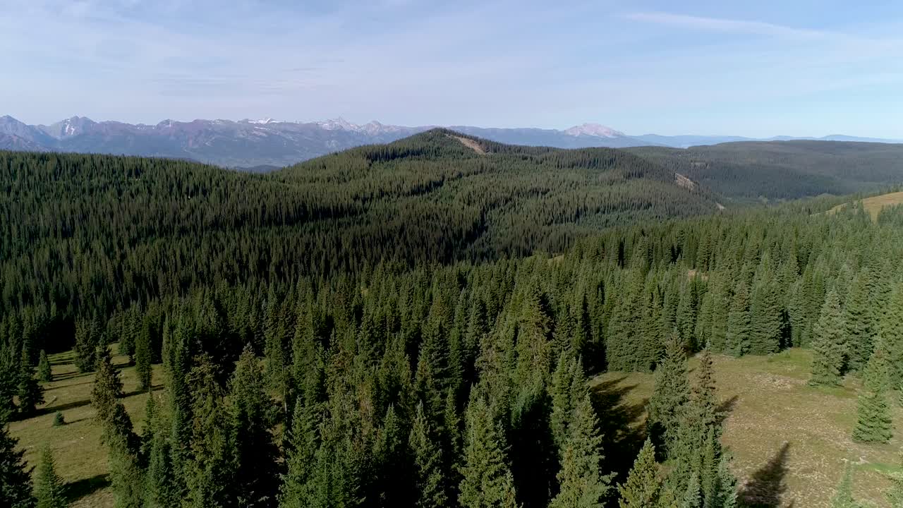 bosques de pinos realmente especiales rodeados de escarpadas cimas montañosas.
