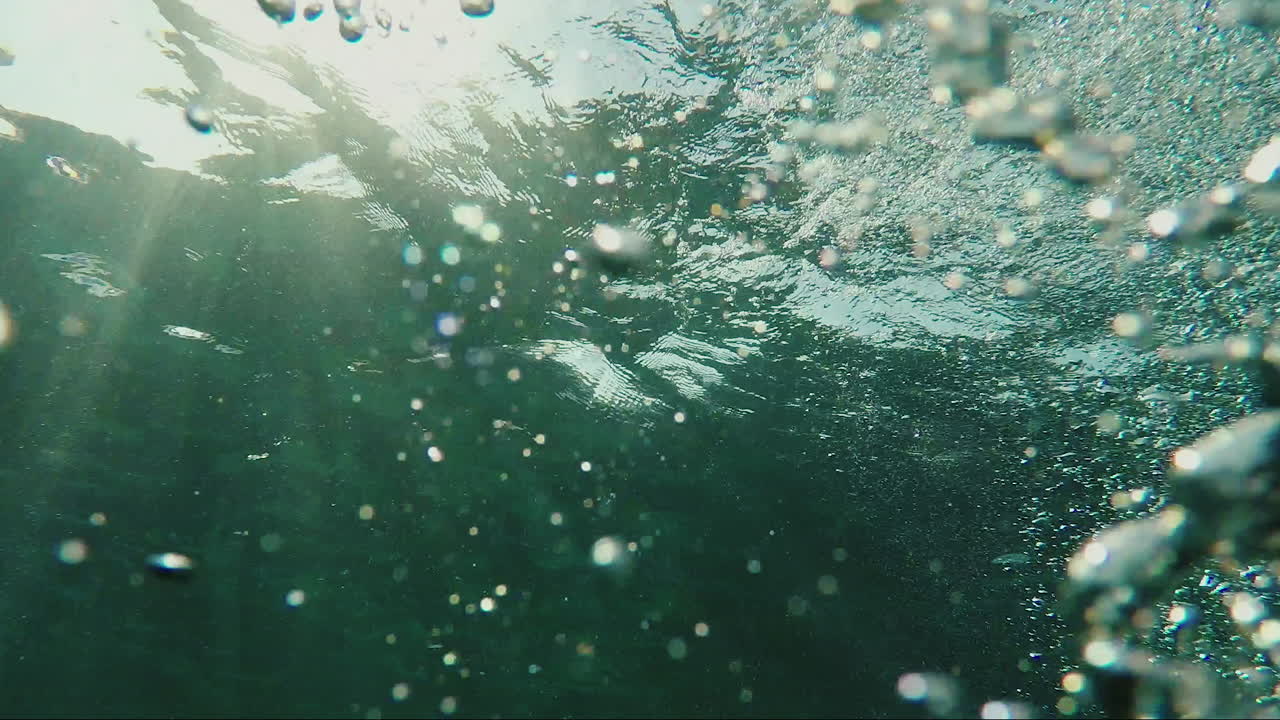 다이버가 상승 속도를 제어하기 위해 보정기 버튼으로 프레임의 손을 볼 수 있습니다.