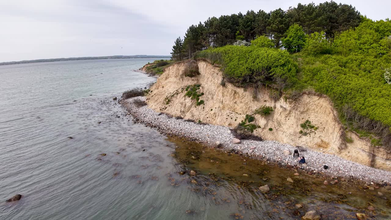 White chalk cliffs border a rocky shoreline beneath a dense green forest in this coastal drone view