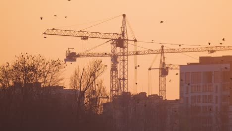silueta oscura de grúas torre en el sitio de construcción de edificios de apartamentos residenciales altos al atardecer. desarrollo inmobiliario