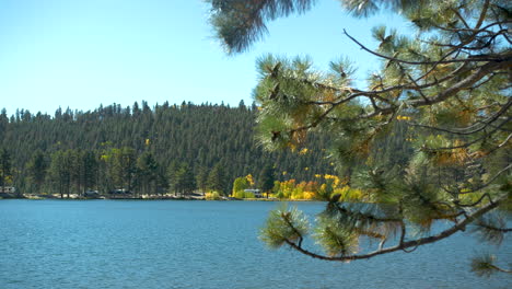 ohaverly lake in the colorado rockies. blue water and blue skies with aspen trees changing gold