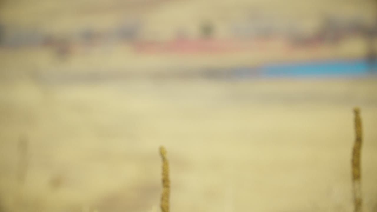 enfoque de rack desde el rancho de ganado cuesta abajo a las plantas nativas