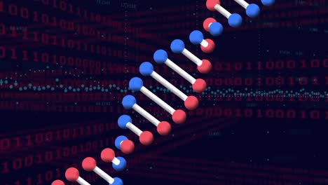 video de bucle único con estructura de adn y codificación por computadora