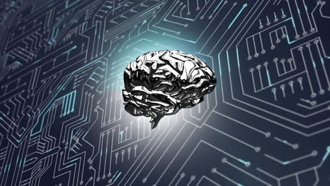 brain and a digital circuit