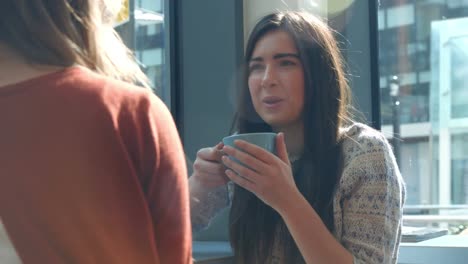 Pretty-friends-chatting-over-coffee-in-cafe