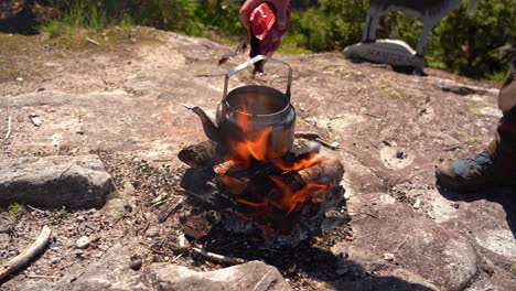 placing kettle on top of outdoor bonfire in nature and adding coffee and lid before moving away - sunny day static hiking clip