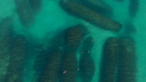 Imágenes-Aéreas-De-Aves-Marinas-Sentadas-Sobre-Un-Arrecife-Artificial