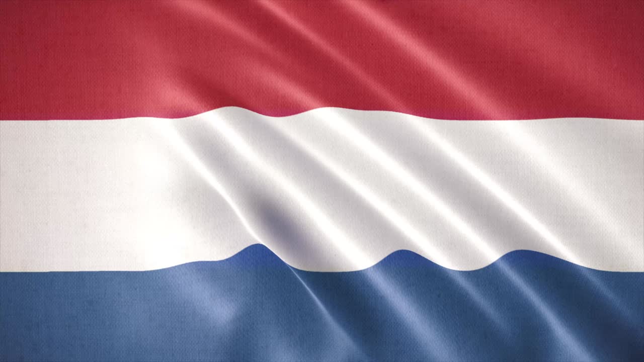 네덜란드의 현실적인 는 발, 발 배경 애니메이션