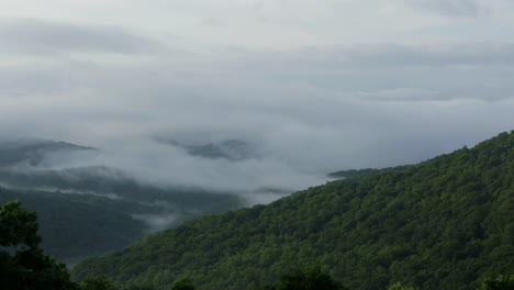 pan across misty green mountains.