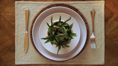 Caucasian-hand-serves-whole-living-plant-on-plate-at-dinner-setting,-close-up-top-view