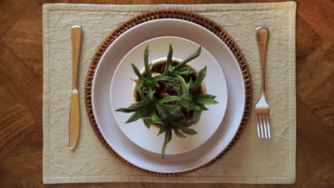 la mano caucásica sirve toda la planta viva en el plato a la hora de la cena, cierra la vista superior