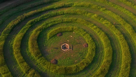 drone aerial view of strange spiral farming field in countryside of hungary