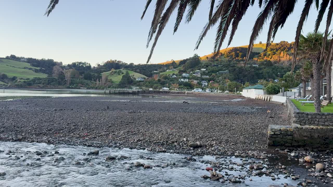 A serene coastal scene in Akaroa, New Zealand, with palm trees, calm waters, and distant hills under soft daylight