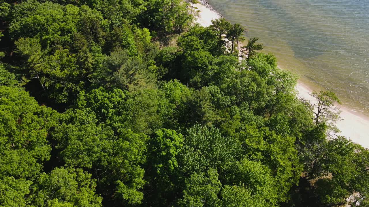 muskegon의 나무 꼭대기에서 회전