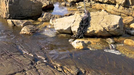 el agua del océano que corre de la piscina de rocas sobre las rocas