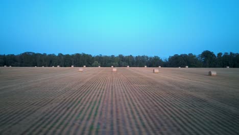 volando sobre el campo con rollos de heno al amanecer.