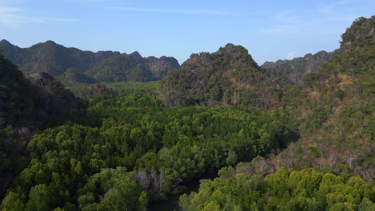 mangrove river hills malaysia Langkawi