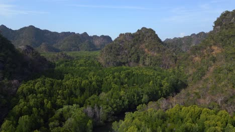 colinas del río manglar malasia langkawi