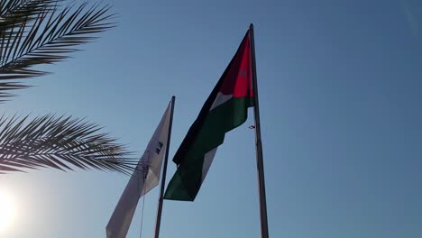 Jordanian-flag-on-the-mast