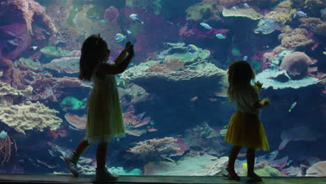Zwei-Kleine-Mädchen-Im-Aquarium-Beobachten-Tropische-Fische-Im-Corel-Riff-Habitat,-Neugierige-Kinder,-Die-Mit-Dem-Smartphone-Fotos-Von-Meerestieren-Machen-Und-Den-Tag-Im-Ozeanarium-In-Den-Sozialen-Medien-Teilen