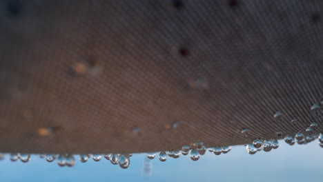 raindrops falling from textile shed outdoor