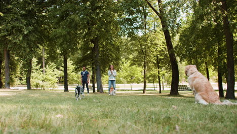 pareja con mascotas al aire libre