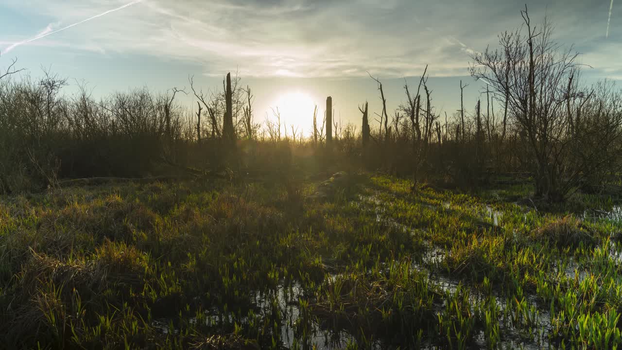 puesta de sol detrás del majestuoso y vibrante páramo de bélgica, vista de lapso de tiempo