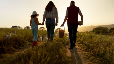 familie genießt einen sonnenuntergang auf dem bauernhof und geht mit hühnern spazieren