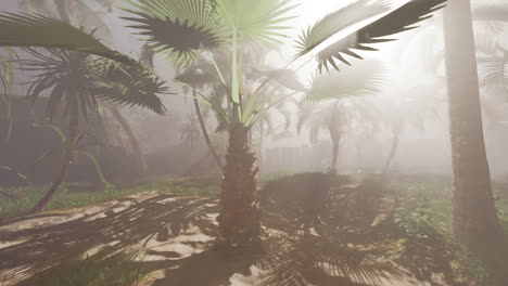 un exuberante bosque tropical con palmeras y niebla