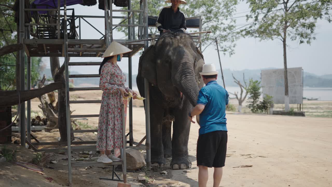 Tourists interacting with an elephant