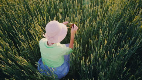 una agricultora está fotografiando espigas de trigo verde usando un concepto de agricultura orgánica para teléfonos inteligentes