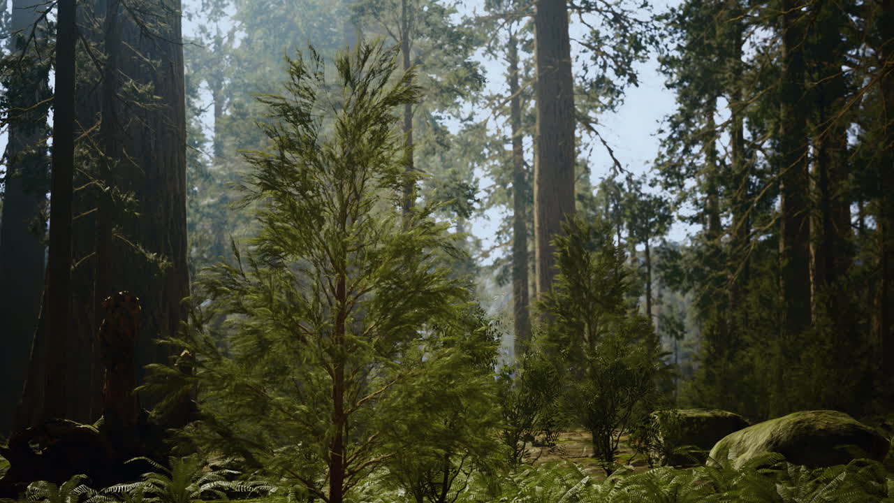 Lush green forest with towering trees in bright daylight near a calm grove