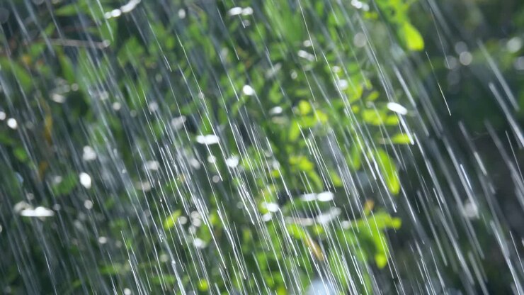 A serene moment captured as raindrops cascade through lush foliage creating a beautiful bokeh effect