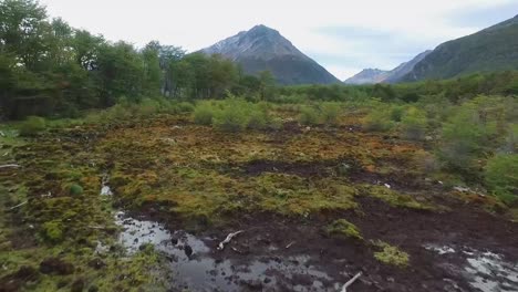 Ushuaia-Luftbild