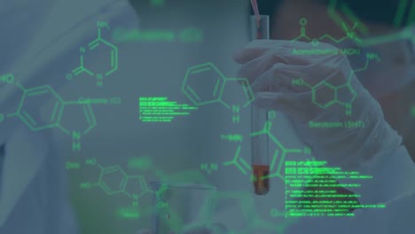 animación del procesamiento de datos en diversos científicos varones y mujeres