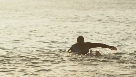 rear view of mid-adult caucasian male surfer swimming in sea during sunset 4k