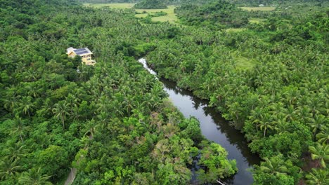 aerial of jungle house amongst rainforest and river, virac, cataduanes, philippines