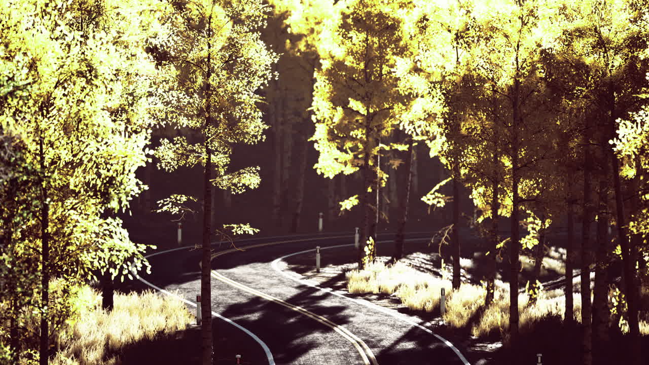 Winding road through golden autumn trees in a serene forest landscape