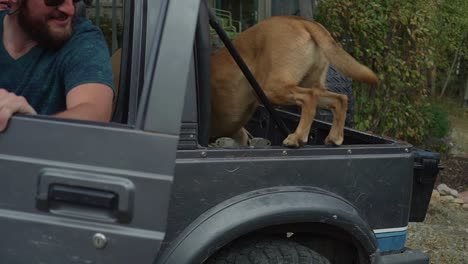 experience the magic of autumn as a man and his loyal canine companion embark on a scenic mountain drive in a vintage 4x4