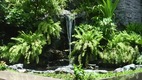 waterfall in a pond with plants